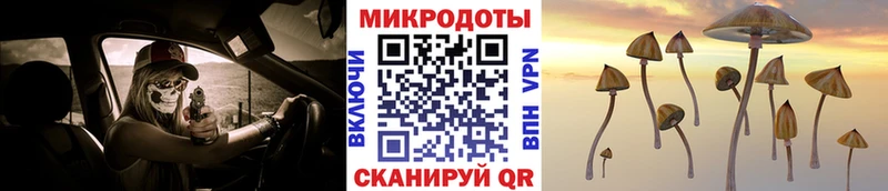 Псилоцибиновые грибы Psilocybine cubensis  закладки  Куровское 