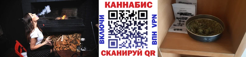 Конопля гибрид  Куровское 